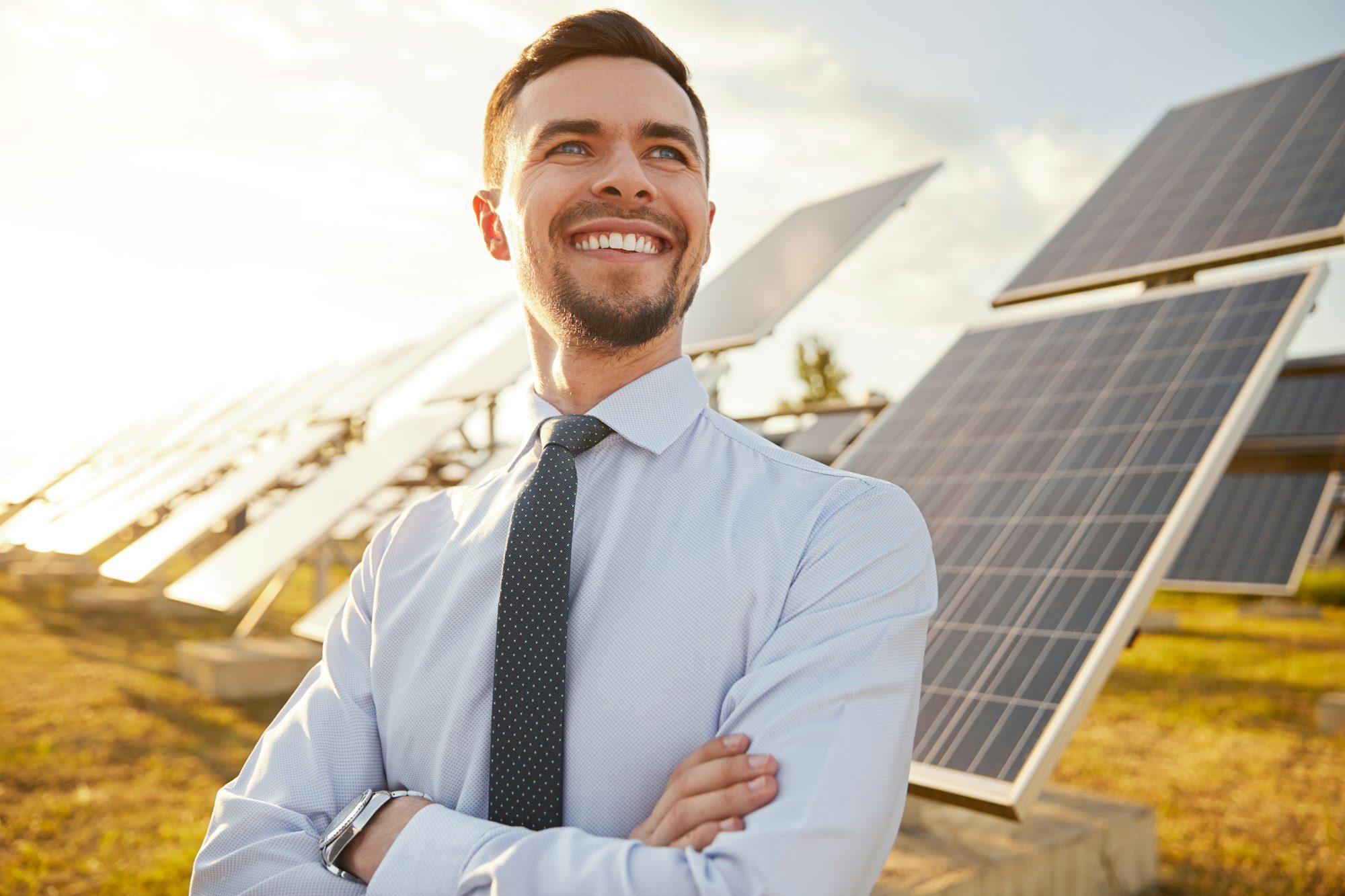 cheerful investor in field with solar batteries